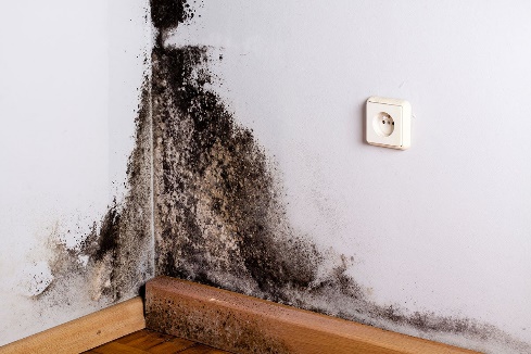 CAVITIES FROM BLACK MOLD